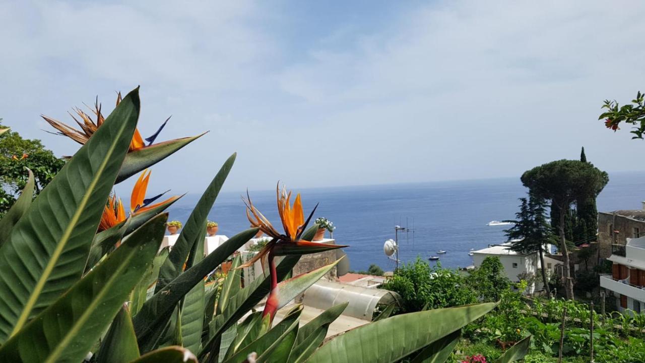 Casa Anna Villa โปซิตาโน ภายนอก รูปภาพ